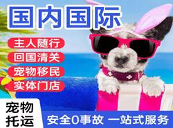 甘南夏河航空空运国际宠物托运 【国